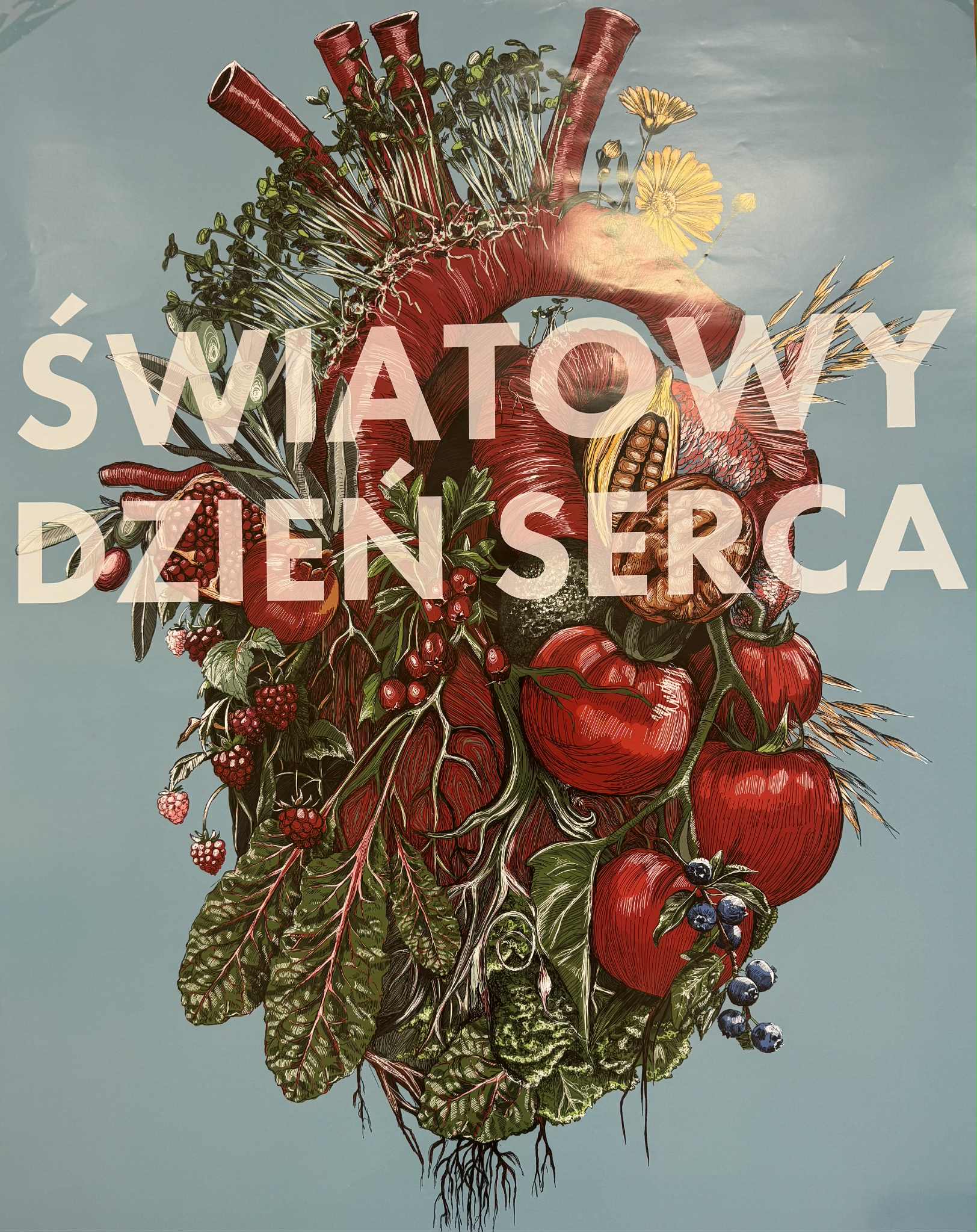 ŚWIATOWY DZIEŃ SERCA W ZS PROSZOWICE