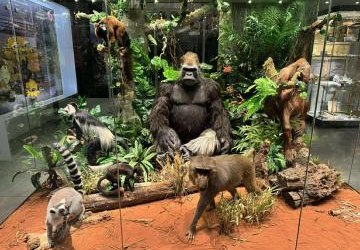 WYCIECZKA DYDAKTYCZNA Z BIOLOGII UCZNIÓW KLASY III TECHNIKUM NA ZAJĘCIA W CENTRUM EDUKACJI PRZYRODNICZEJ UNIWERSYTETU JAGIELLOŃSKIEGO W RAMACH PROJEKTU KEY TO THE FUTURE