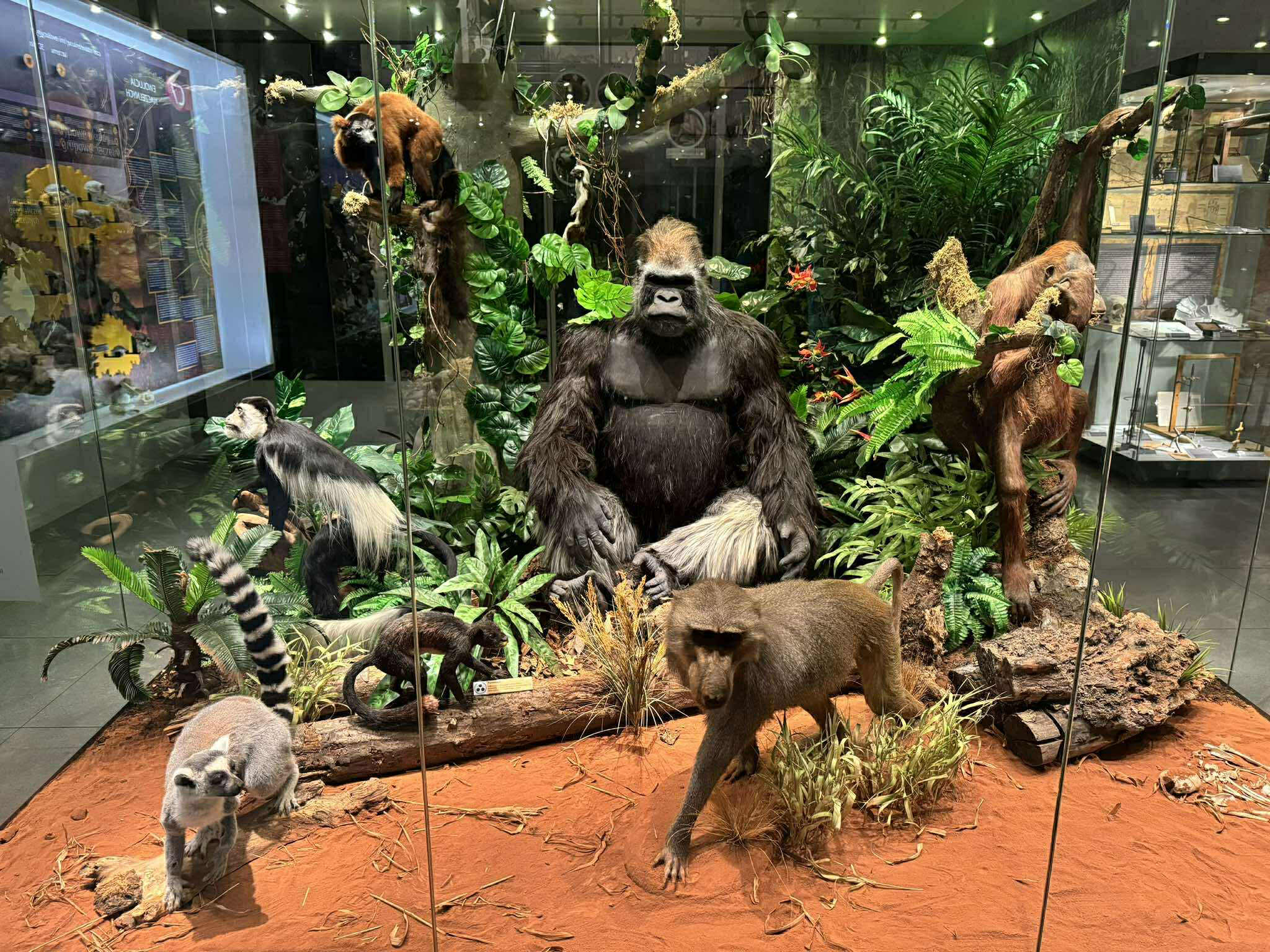 WYCIECZKA DYDAKTYCZNA Z BIOLOGII UCZNIÓW KLASY III TECHNIKUM NA ZAJĘCIA W CENTRUM EDUKACJI PRZYRODNICZEJ UNIWERSYTETU JAGIELLOŃSKIEGO W RAMACH PROJEKTU KEY TO THE FUTURE