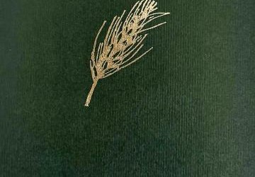 TAM GDZIE KOŃCZY SIĘ LATO – WYRÓŻNIONE OPOWIADANIE LICEALISTKI ZS PROSZOWICE OPUBLIKOWANE W OGÓLNOPOLSKIM WYDAWNICTWIE